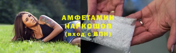 ешки Аркадак